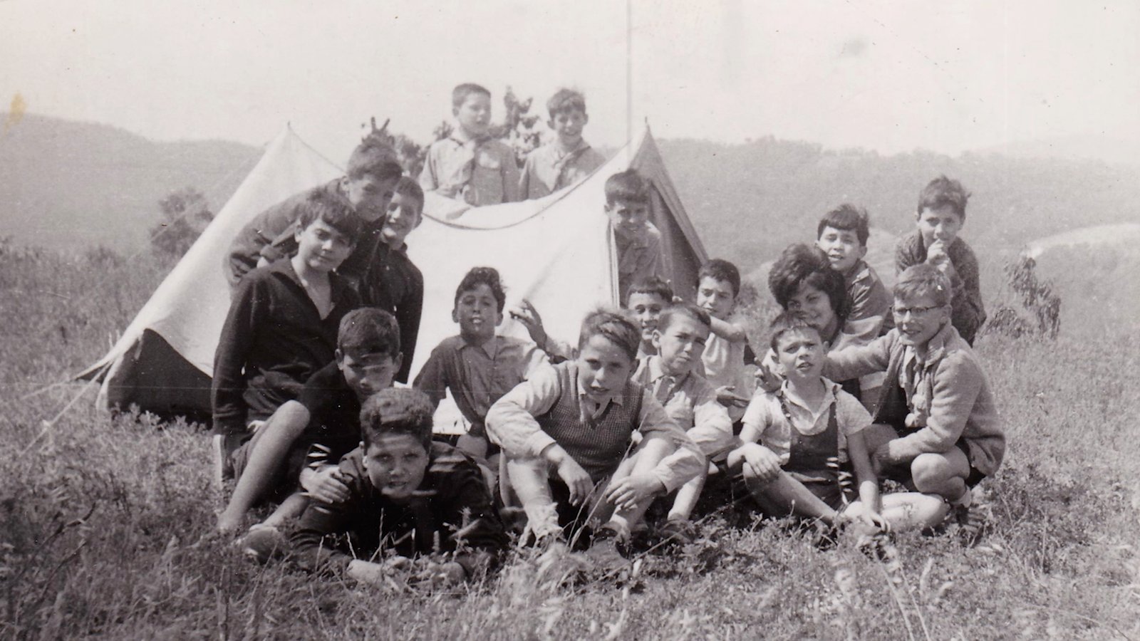CAU65.jpg
